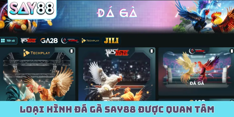 Loại hình đá gà Say88 được quan tâm